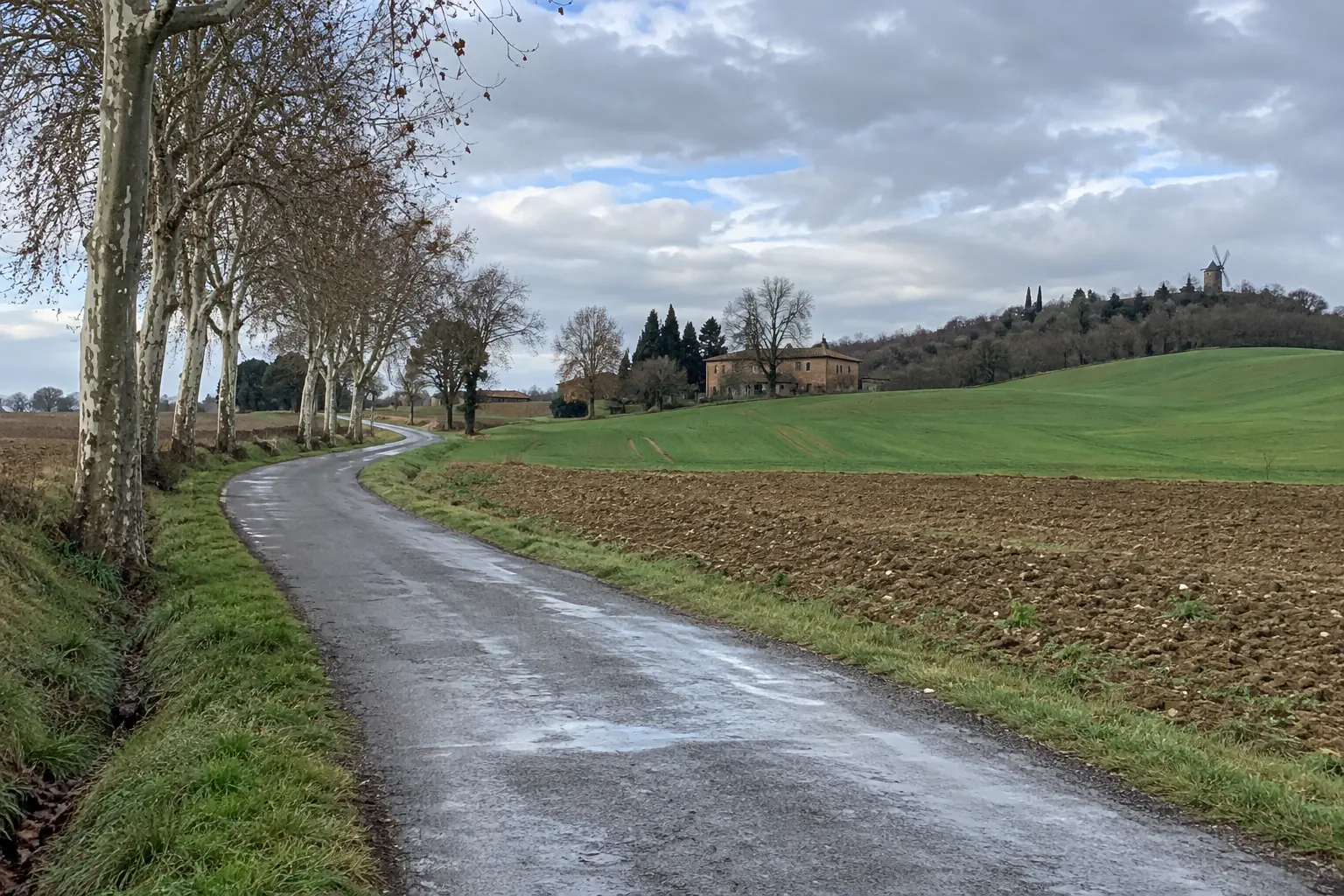 Une petite route départementale du Lauraguais entre des champs labourés, après la pluie, une ferme de brique et un moulin sur la colline